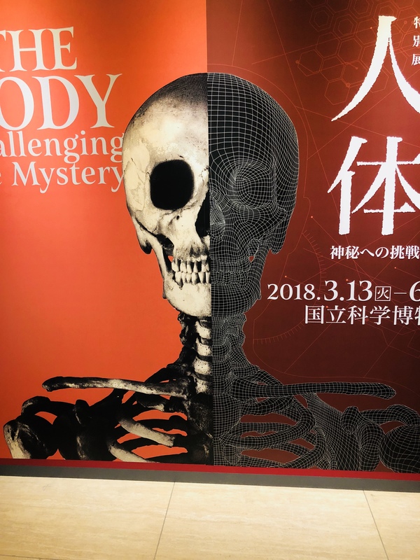 上野国立科学博物館  特別展 人体 神秘への挑戦